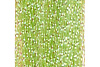 Серия Cristal flash снастей Материал HIGASHI Cristal Flash CF-51 Light Green